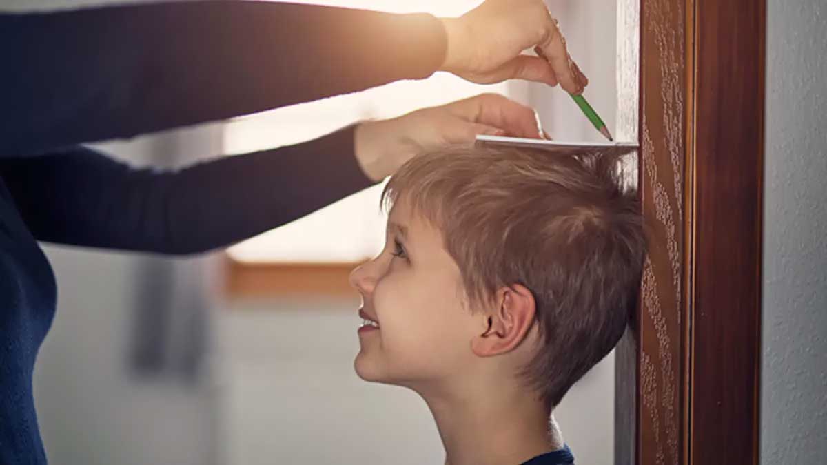 Çocuğun Normal Gelişimi ve Gelişimin Aşamaları – Kız ve Erkek Çocuklarda Boy ve Kilo Gelişimi